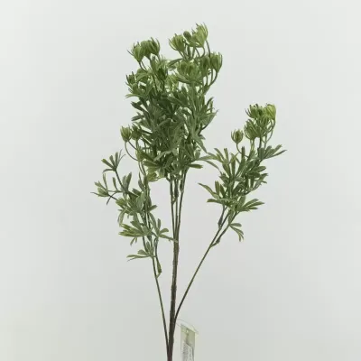 Hypericum foliage cm.62 verde