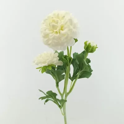 Dahlia x5 cm. 52 bianco