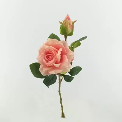 Rosa  x2 cm. 48 rosa