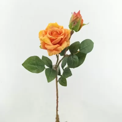 Rosa  x2 cm. 48 arancio
