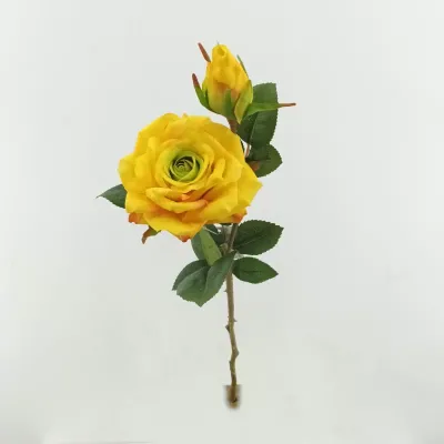 Rosa  x2 cm. 48 giallo