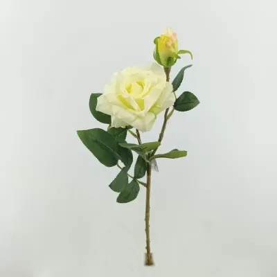 Rosa  x2 cm. 48 crema