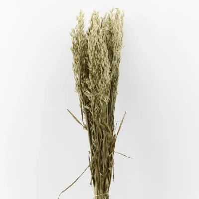 Avena naturale gr.200