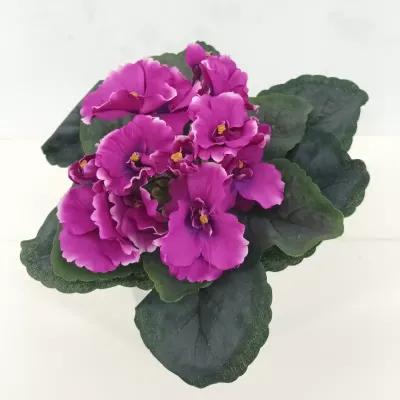 Violetta bush cm.20 malva