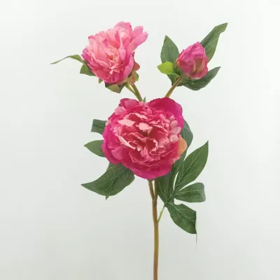Peonia ramo cm.75 beauty