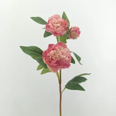 Peonia ramo cm.75 pesca