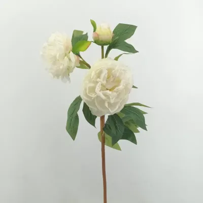 Peonia ramo cm.75 bianco