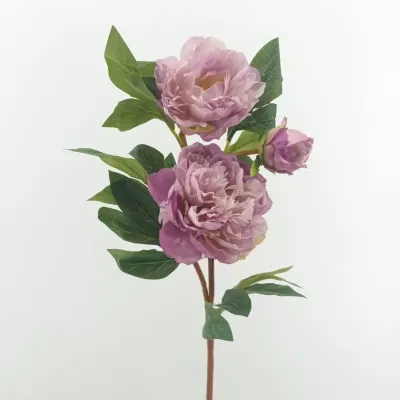 Peonia ramo cm.75 viola