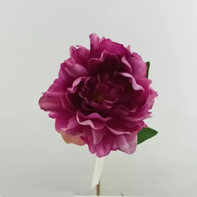 Peonia cm.65 mauve