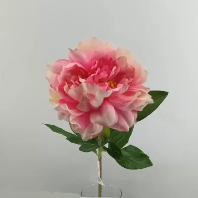 Peonia cm.65 lt rosa