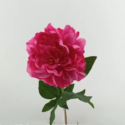 Peonia cm.65 dk rosa