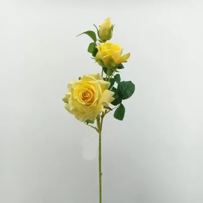 Rosa aperta ramo x3 cm. 68 lt yellow