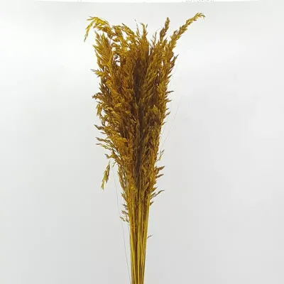 Salicchio colorato giallo (gr.250)