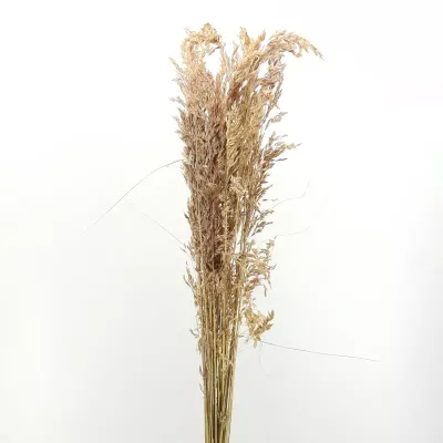Salicchio naturale (gr.250)