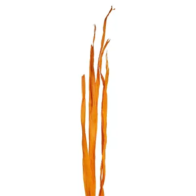 Palma foglie cm. 95 80 gr. arancio