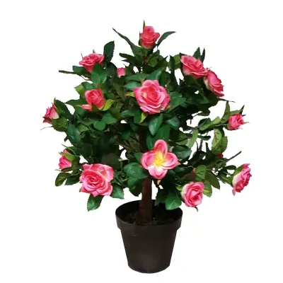 Cv-rosellina fuxia con vaso  cm. 45