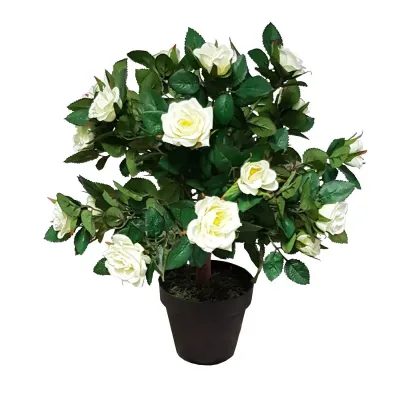 Cv-rosellina crema con vaso  cm. 45