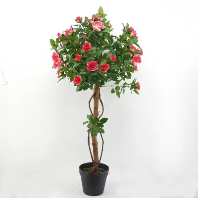 Cv - rosellina h.95 rosa