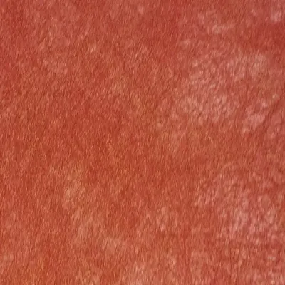 Bobina df 0,51×9 polyweb metal rosso