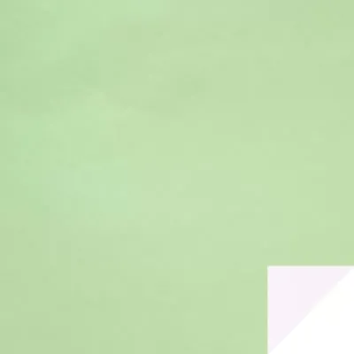 Bobina c 1x20 perla verde pastello