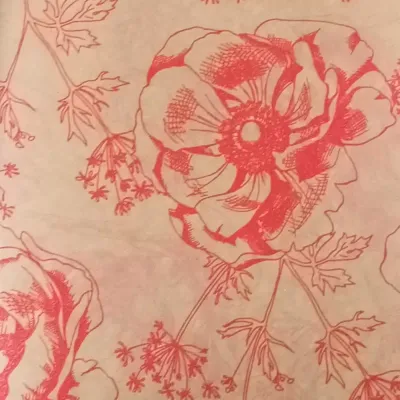 Bobina cw 1x25 pe paper regina di neve rosso