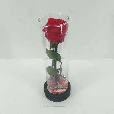 Rosa pres.in cilindro h.10 rosso