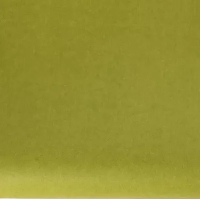 Fogli 50×76 carta velina verde muschio (pz.24)