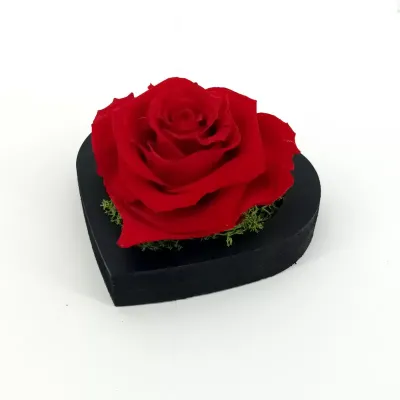 Rosa cuore cm.12 rosso