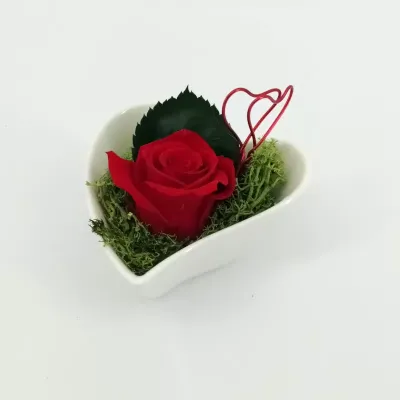 Rosa pres. cuore mini