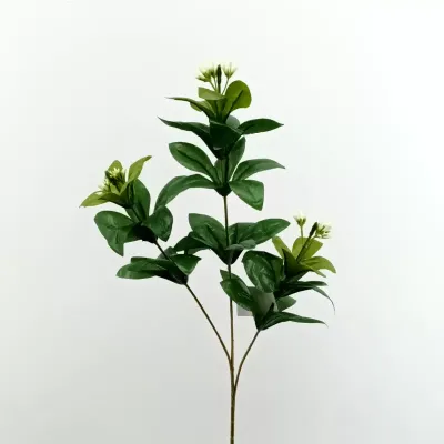 Lauro di monte cm.69 verde