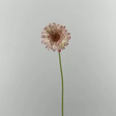 Gerbera cm.61 rosa
