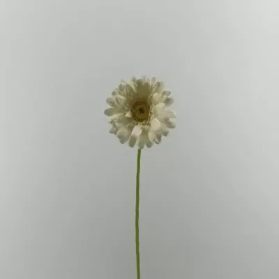 Gerbera cm.61 bianco