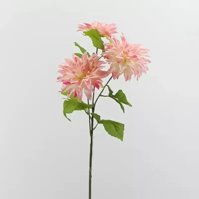 Dahlia 3 fiori rosa