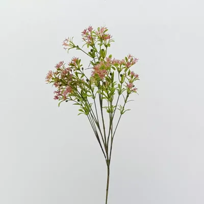 Jasmine 5 rami fuxia