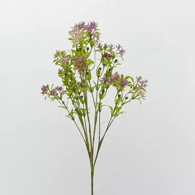 Jasmine 5 rami viola