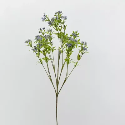 Jasmine 5 rami blu