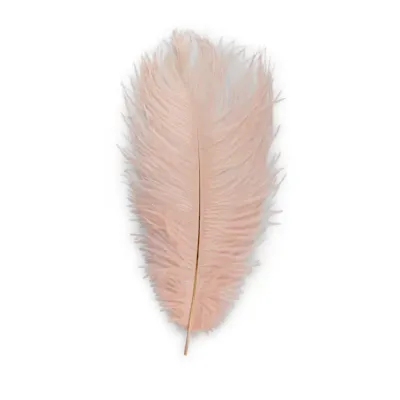 Marabù piuma cm.35 rosa (pz.5)
