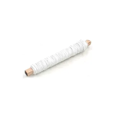Bp-filo ferro bianco mm. 0,50 gr.100