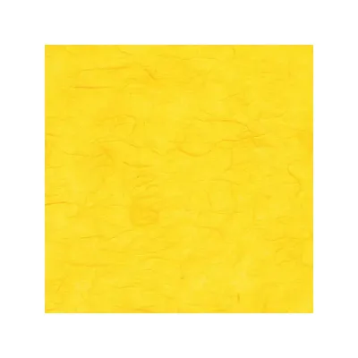 Fogli 70x100 carta riso giallo (pz.10)