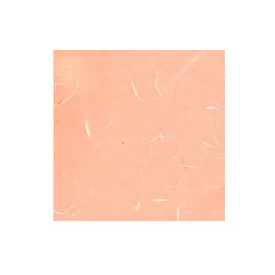 Fogli 70x100 carta riso rosa salmone (pz.10)