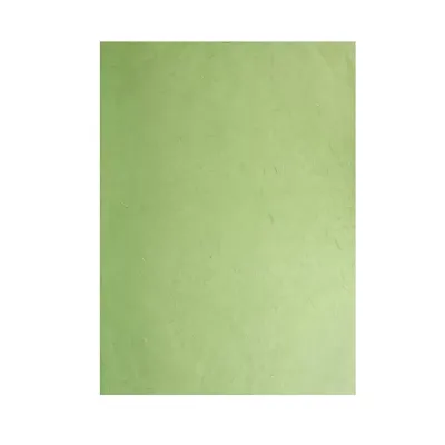 Fogli 70x100 carta riso verde menta (pz.10)