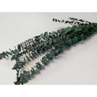 Eucaliptus spiral pres. verde (gr.150)