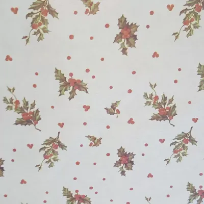 Fogli ilex 70x100  (pz.25) rosso verde