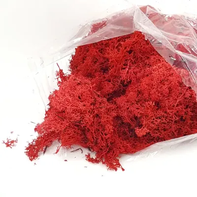 Muschio nordico rosso (gr.500)