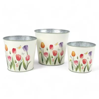 Ml-cachepot d.18 tulipani (set 3)