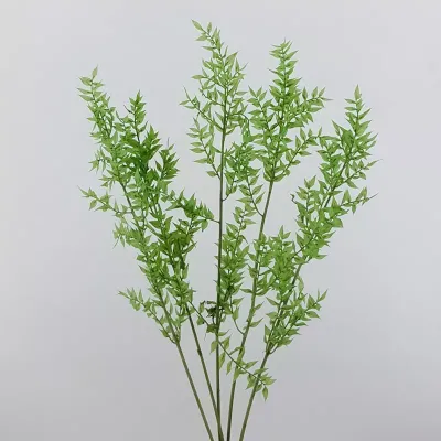 Ruskus cm.80 salvia (pz.5)
