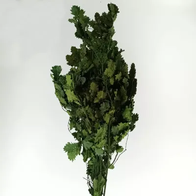 V-quercia stabilizzata (gr.500)
