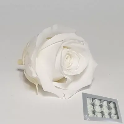 Rosa pres. d.04 mini  white(pz.12)