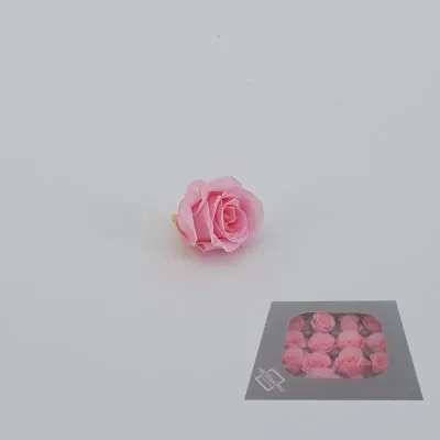 Rosa pres. d.03 princess rosa (pz.16)