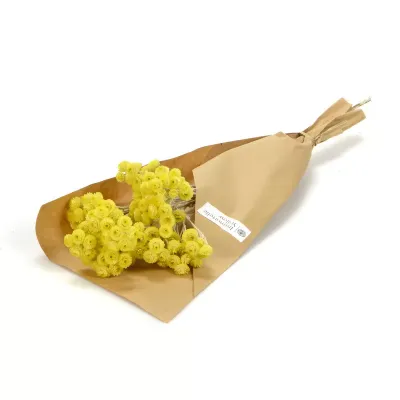 Mazzo immortelle cm 42 giallo